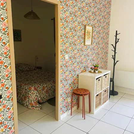 Maison Renovee Avec Jardin Prive Et Parking, Au Coeur D'angouleme Apartment *